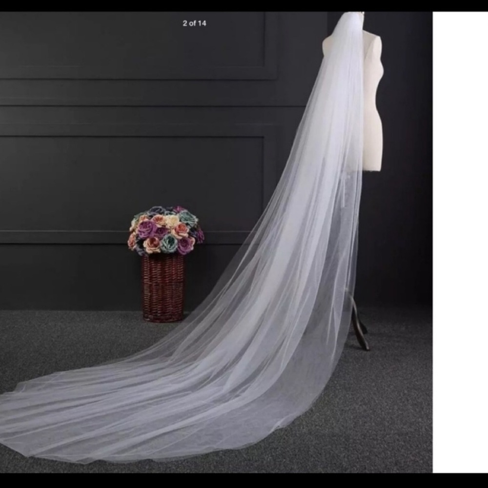 White cathedral veil!